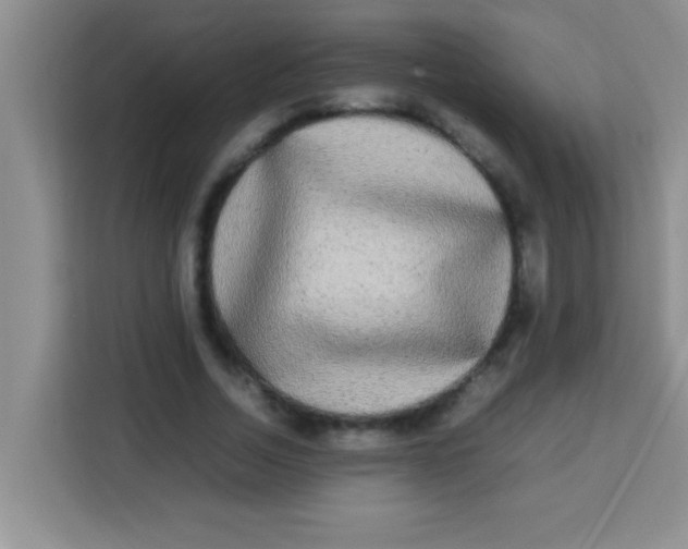 X0000113290730200910051100