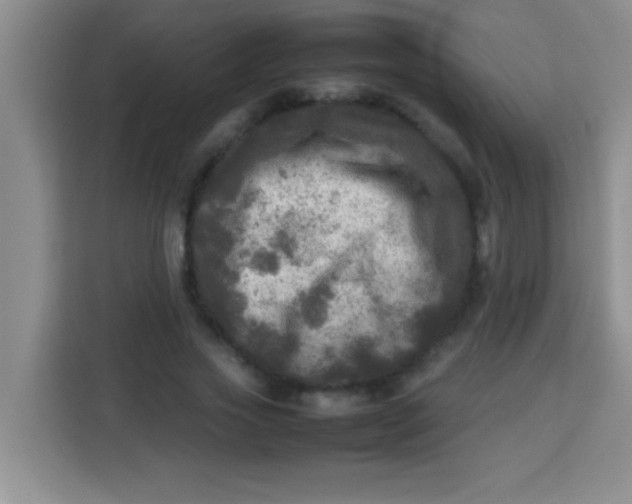 X0000113290733200910051100