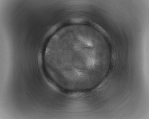 X0000113290734200910051100