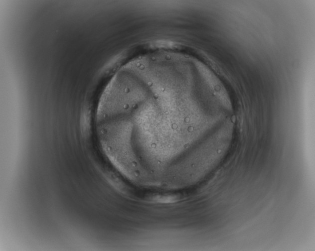 X0000113290735200910051100