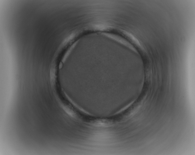 X0000113290736200910051100