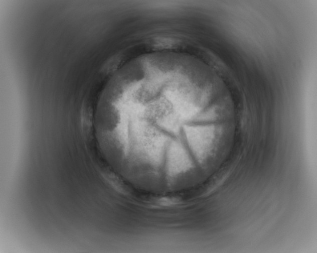 X0000113290737200910051100