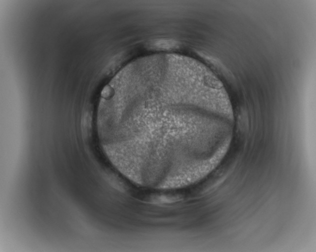 X0000113290739200910051100