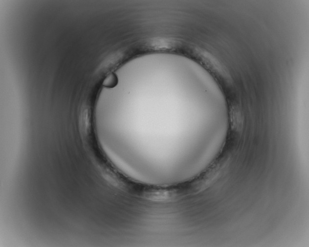 X0000113290740200910051100