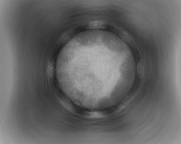 X0000113290741200910051100