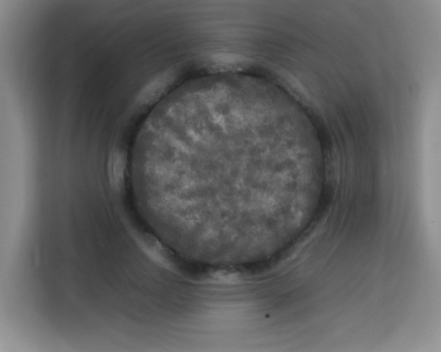 X0000113290742200910051100