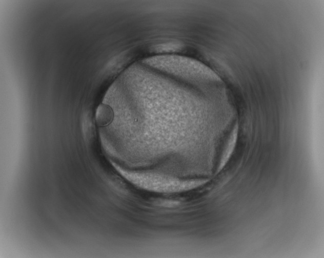 X0000113290743200910051100