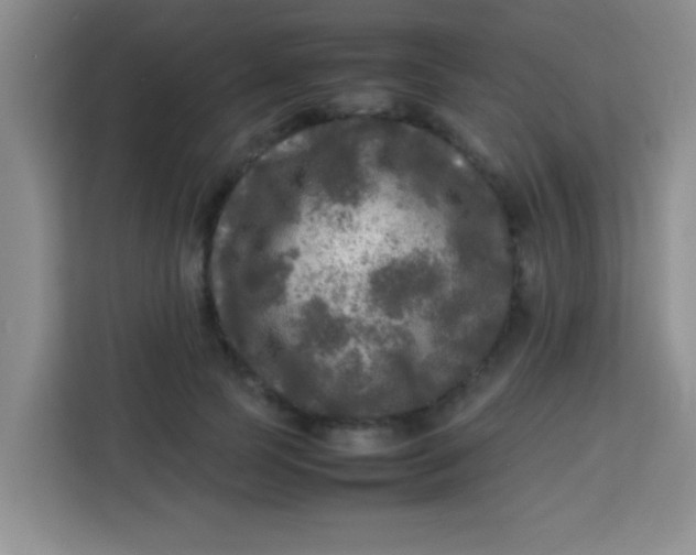 X0000113290745200910051100