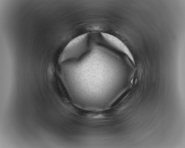 X0000113290747200910051100