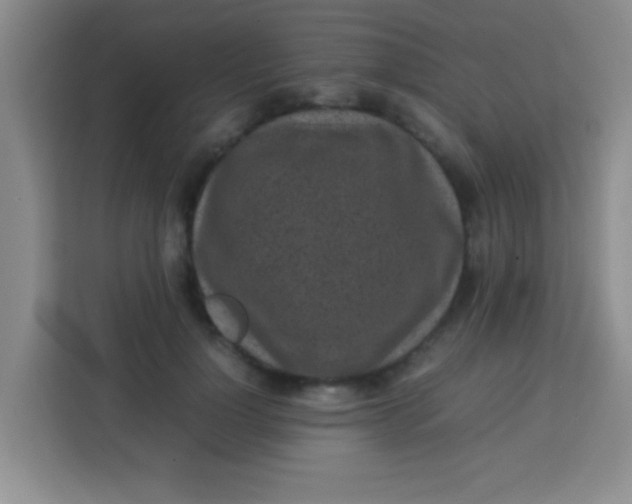 X0000113290748200910051100