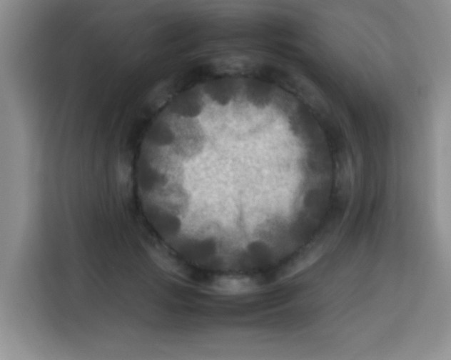 X0000113290749200910051100