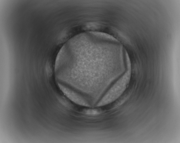 X0000113290751200910051100