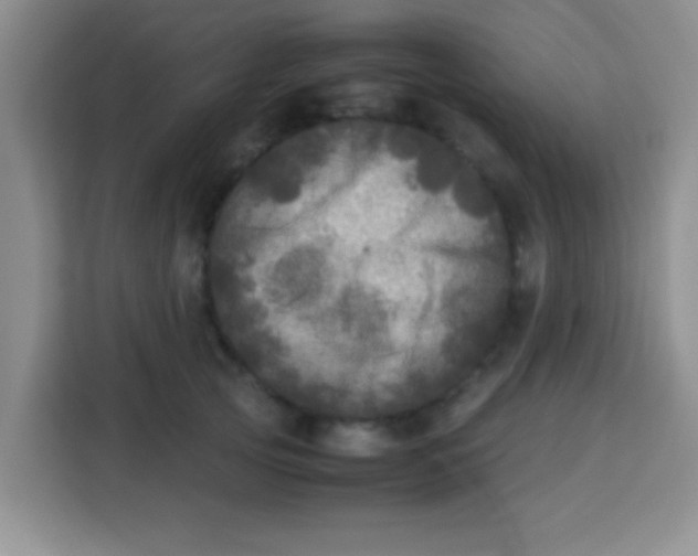 X0000113290753200910051100