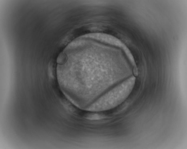 X0000113290755200910051100