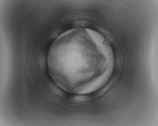 X0000113290759200910051100