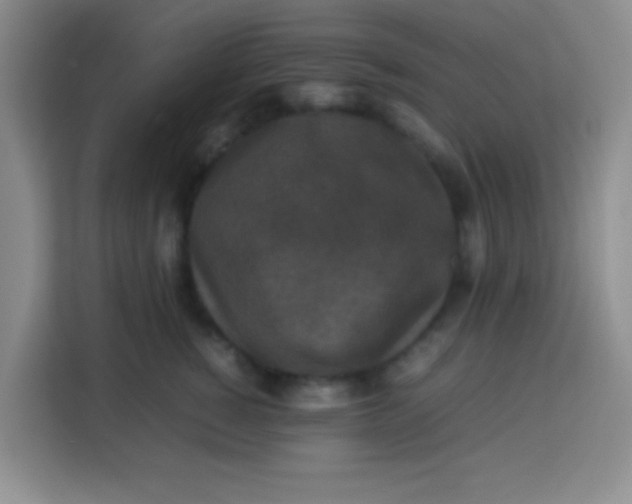 X0000113290760200910051100