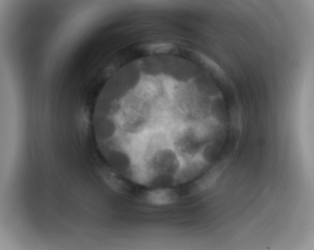 X0000113290761200910051100