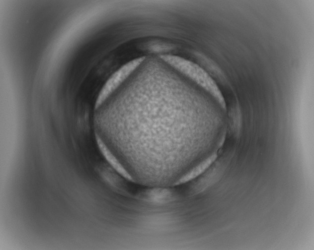 X0000113290762200910051100