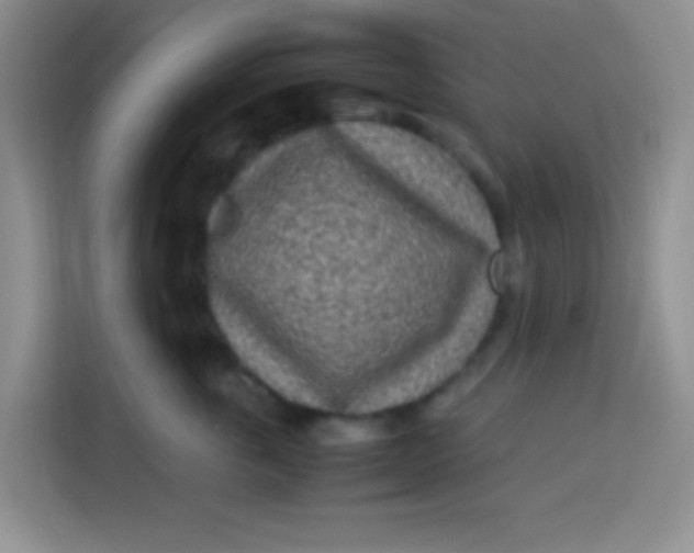 X0000113290763200910051100