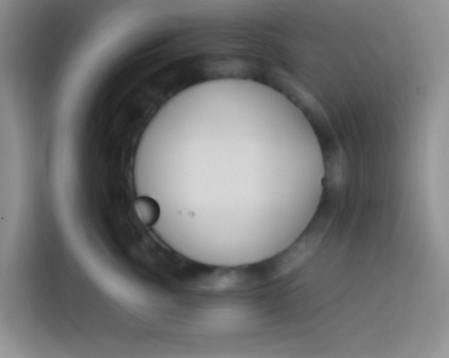 X0000113290764200910051100