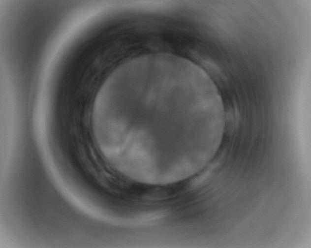 X0000113290765200910051100