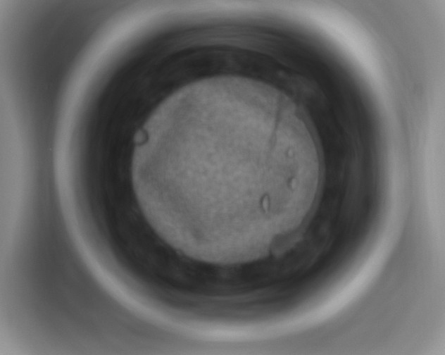 X0000113290766200910051100