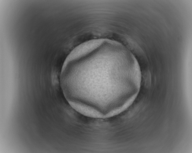 X0000113290770200910051100