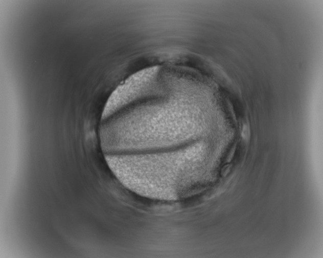 X0000113290771200910051100