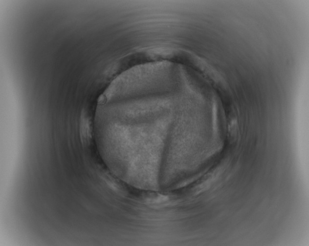 X0000113290772200910051100