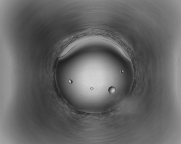 X0000113290773200910051100