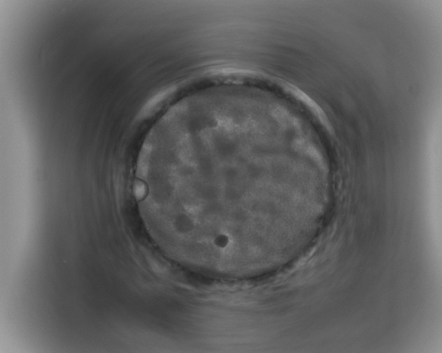 X0000113290775200910051100