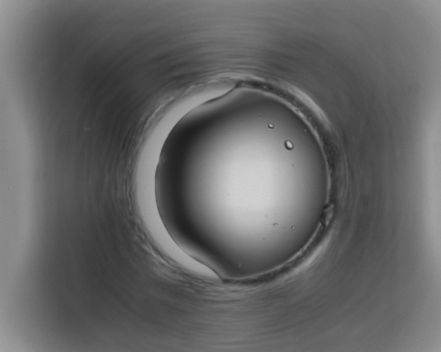 X0000113290777200910051100