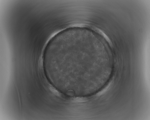 X0000113290779200910051100