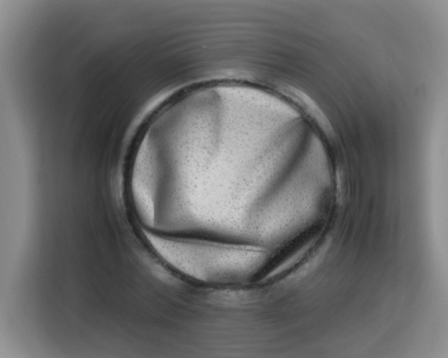 X0000113290780200910051100