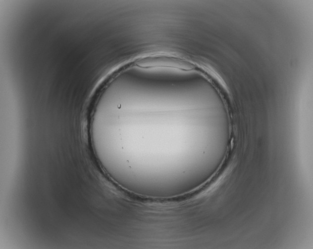 X0000113290781200910051100