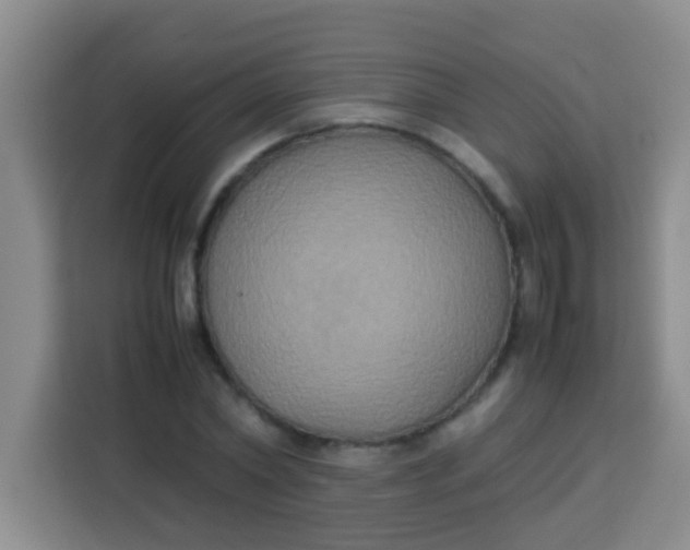 X0000113290782200910051100