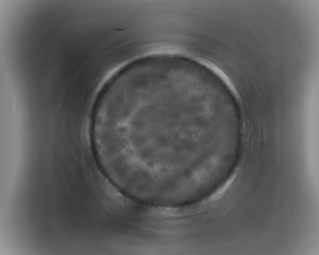 X0000113290783200910051100