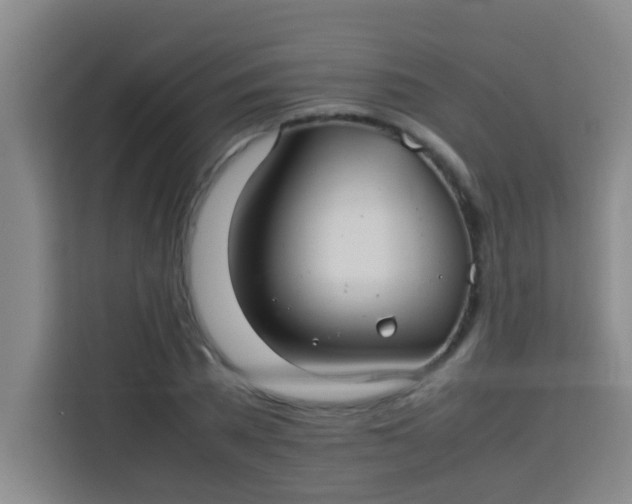 X0000113290785200910051059