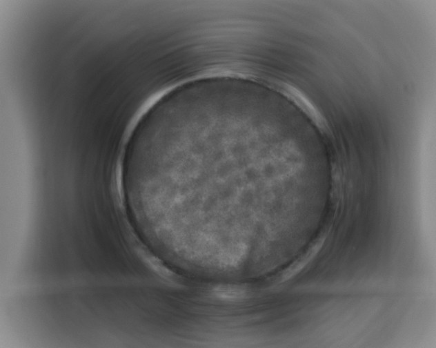 X0000113290788200910051059