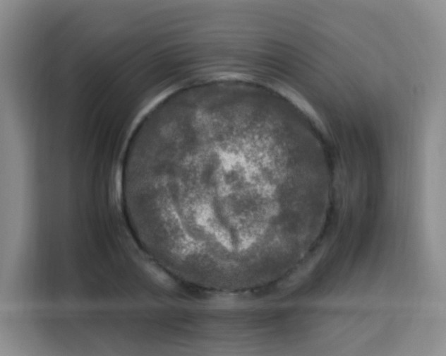 X0000113290790200910051059