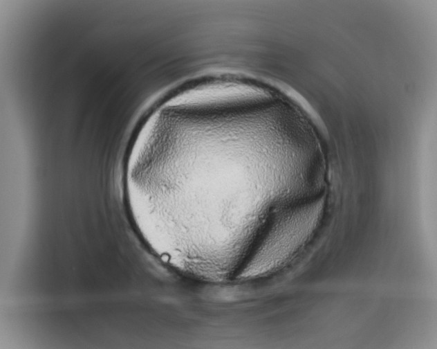 X0000113290791200910051059