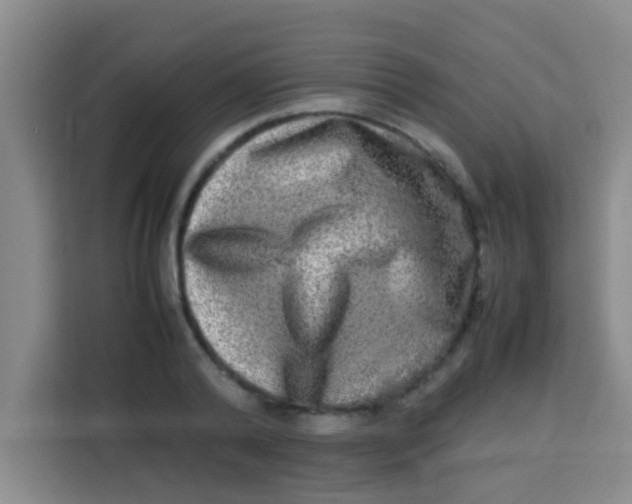 X0000113290792200910051059