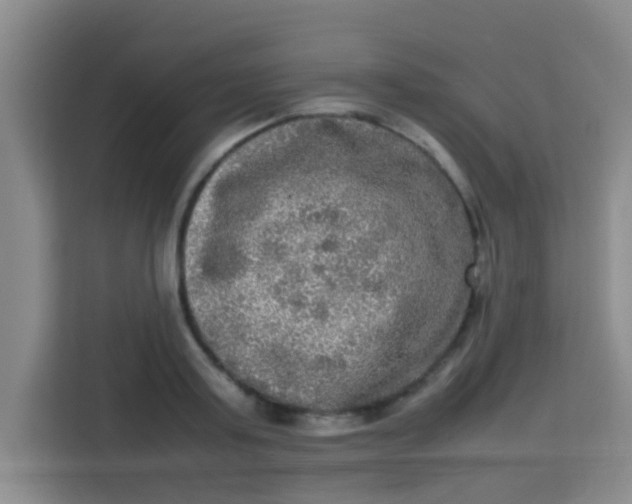 X0000113290795200910051059