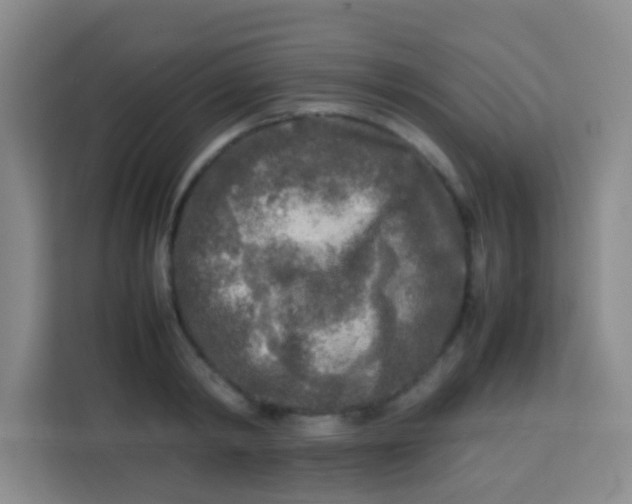 X0000113290798200910051059