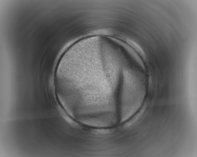 X0000113290800200910051059