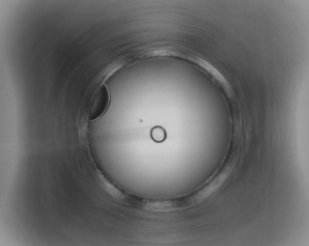 X0000113290801200910051059