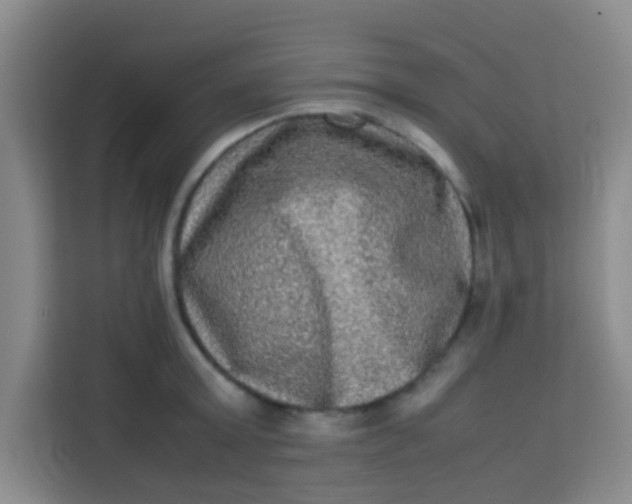 X0000113290803200910051059