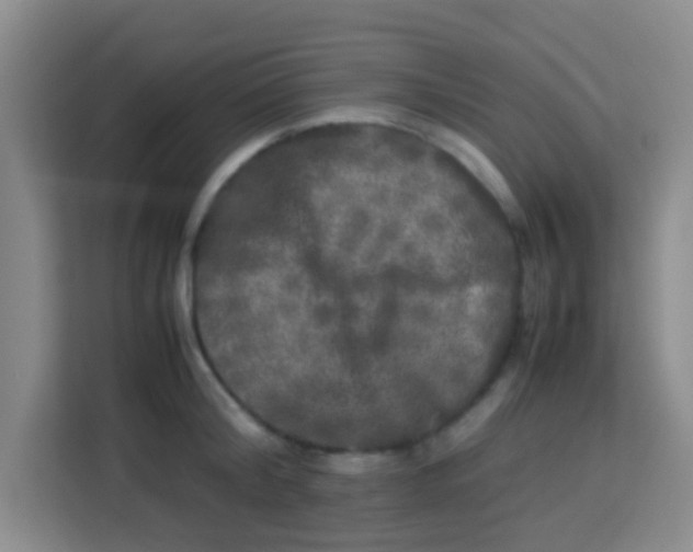 X0000113290804200910051059