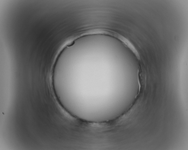 X0000113290805200910051059