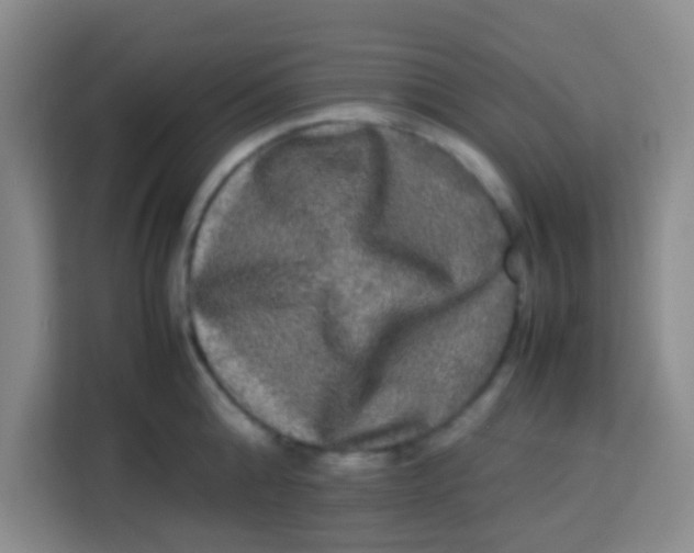 X0000113290808200910051059